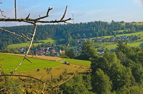 Blick auf Böffingen