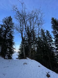 Foto von Gerald entlang der Tour