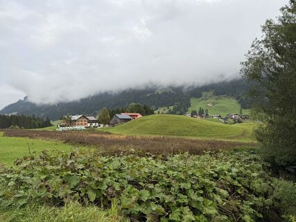 Foto da Markus Ackermann lungo il tour