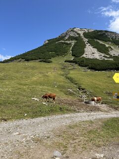 Photo de Thomas Mauhart le long du parcours