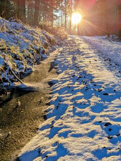 Fotografija s spletne strani Sabrina Hackel na poti