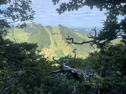 Foto von jojo55 entlang der Tour
