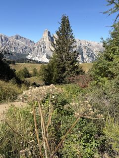 Foto von Sandra Wagemans entlang der Tour