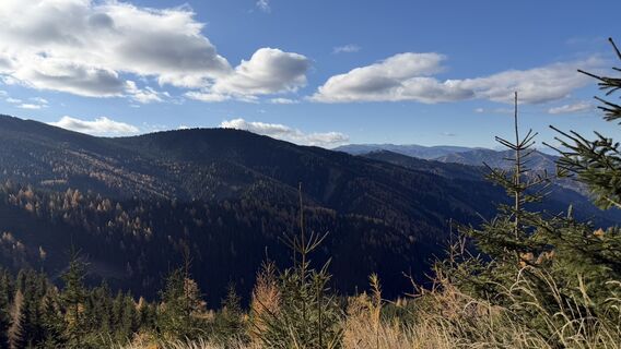 Foto från Zsolt Kozsla under resans gång