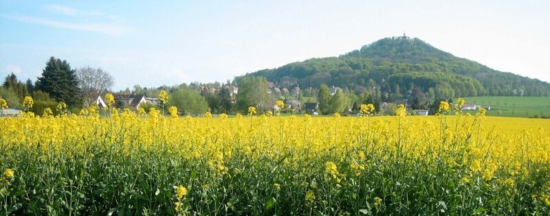 Blick auf die Landeskrone, Görlitz