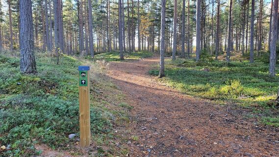 Karhuluodon Runde