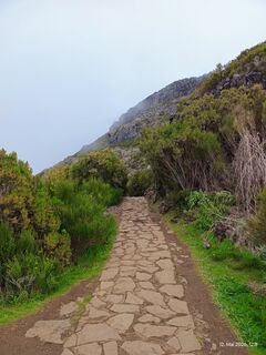 Foto de Mike van Gemert a lo largo del recorrido