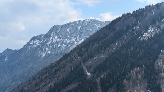 Foto von Ziegler Em1304 entlang der Tour