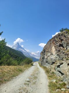 Foto de Gudi kowa a lo largo del recorrido