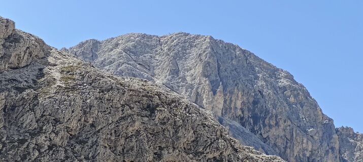 Foto från Daniele Spezia under resans gång