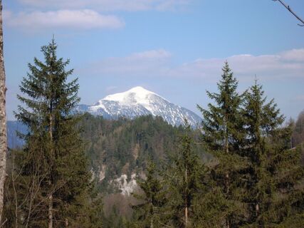 Blick vom Gofergraben zum Tamischbachturm
