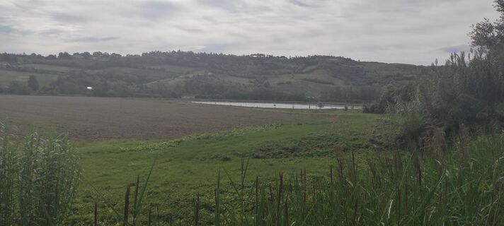 Kuva osoitteesta Brigitte Scheuffele matkan varrella