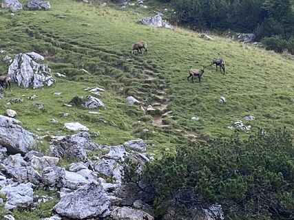 Fotó a Sven Krieblin honlapról a túra során