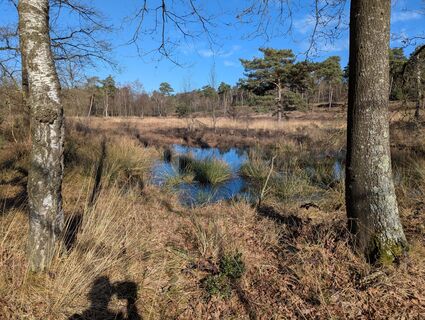 Photo de Matje Derks le long du parcours
