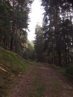 Rundweg Dachlstein mit Mariensitz