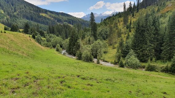 Fotografia z Gerrit van der Linde na trase