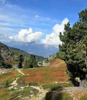 Photo de Veronika Strauss le long du parcours