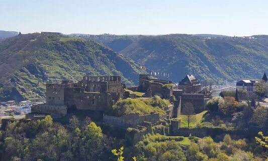 Rheinfelsblick 1