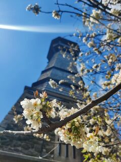 Ringwarte Hartberg in der Oststeiermark
