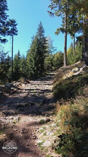 Foto von Jacky belzung entlang der Tour