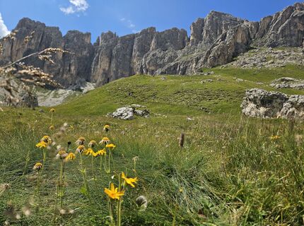 Fotografija s spletne strani hannes.d na poti