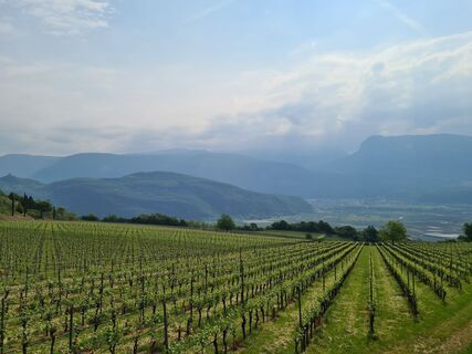 Fotografia z Heidrun Eberhart na trase