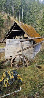 Foto de Sandy a lo largo del recorrido