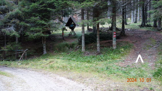 rechts weg, am Steig weiter