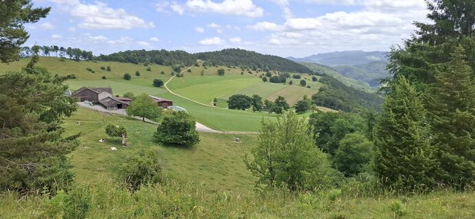Photo de denis.kohler le long du parcours