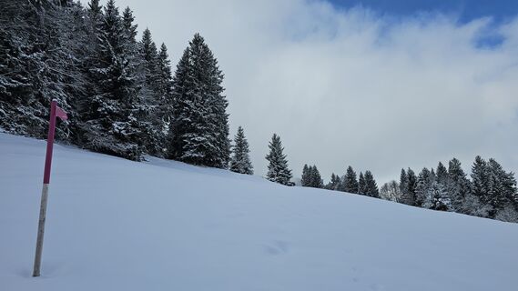 Foto von Marlyse Leu entlang der Tour