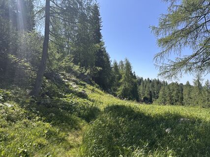 Foto von Elke Preßl entlang der Tour