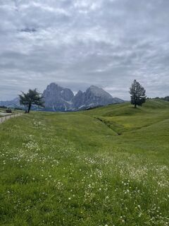 Photo de Daniela Schattauer le long du parcours