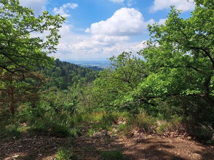 Fotografia z Sabine Krohn na trase
