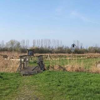 Drömling bei Buchhorst