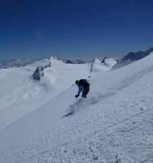 Pulverschwünge mit Blick auf den Gurglerferner