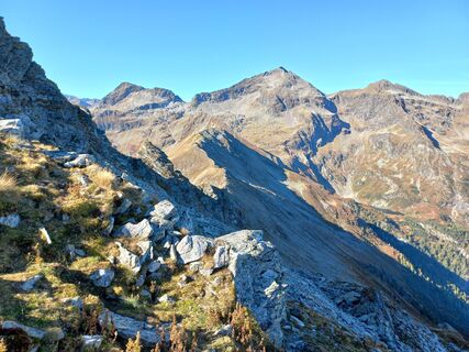 Hochwildstelle