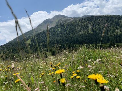 Fotografia z Tizz Canins na trase