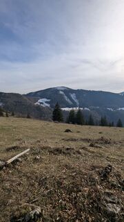 Zdjęcie z W.K. wzdłuż trasy