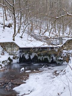 Foto de Katona Ferk Mariann a lo largo del recorrido