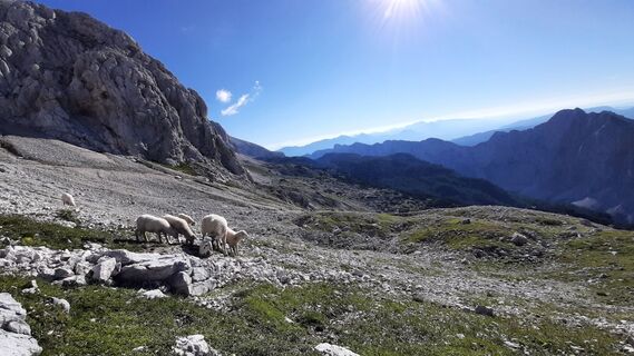 Fotografia z Aga M na trase