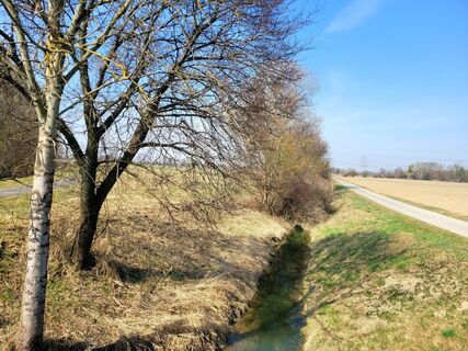 Fotografija s spletne strani mmecki na poti