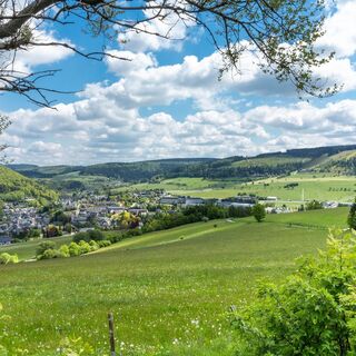 Blick vom Treis im Frühling