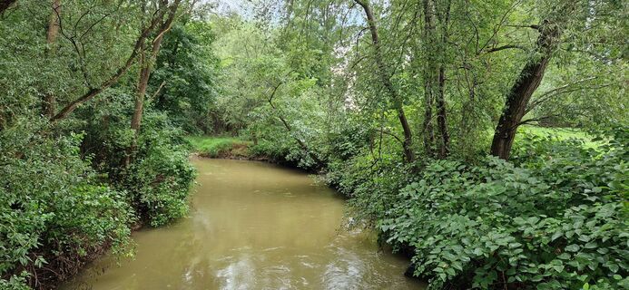 Foto da Utassy Tóth Johanna lungo il tour