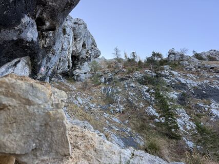 Fotografie z Natur_erleben_dg na trase