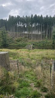 Fotografija s spletne strani Jens na poti