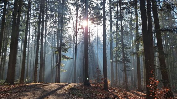 Foto von Regina Fleischmann entlang der Tour