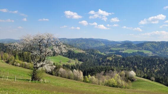 Fotografia z Juliane Jarke na trase