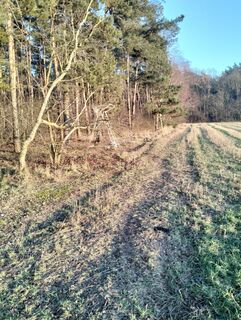 Photo de Piotr Bartkowski le long du parcours