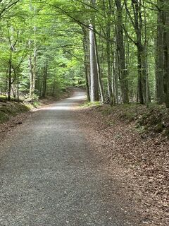 Photo de Lainie le long du parcours