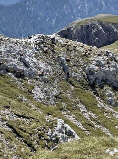 Photo de Petra Pirker le long du parcours